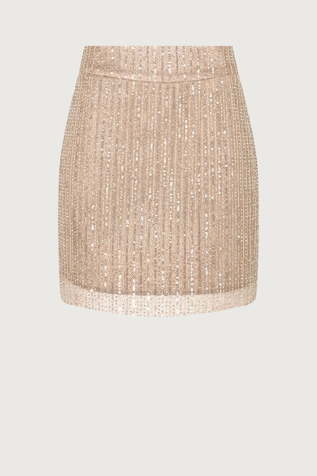 Sequin Skirt