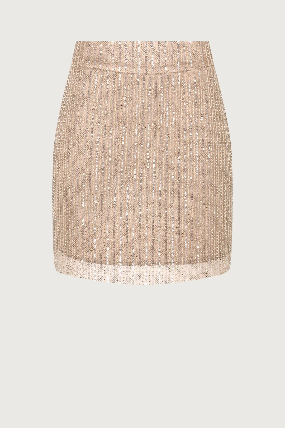 Sequin Skirt