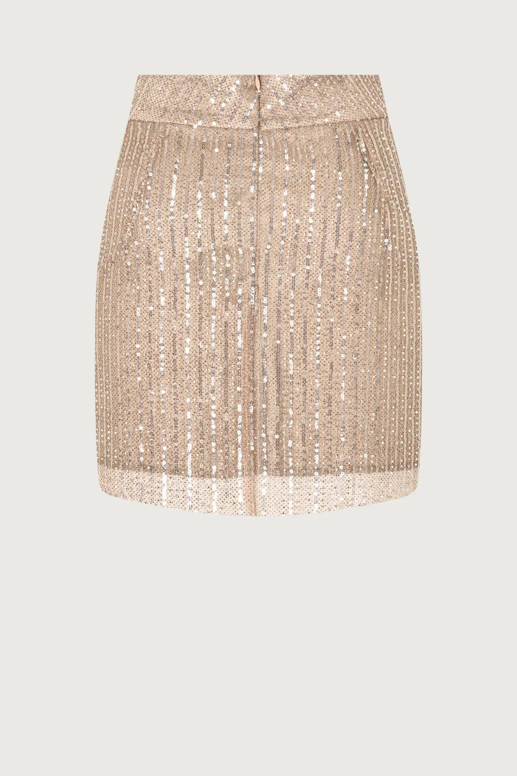 Sequin Skirt