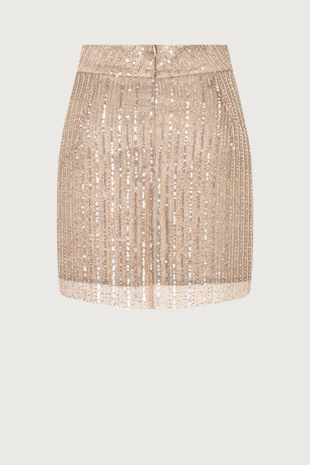 Sequin Skirt